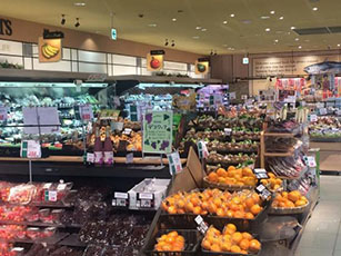 池田店・マツモトキヨシ池田店